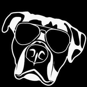 Meet your Posher, Carly